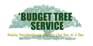 ABudgetTreeService_Vector_ABTS_Logo_Full_Color (1)